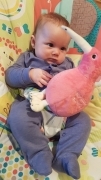 Ellen June 2018