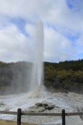 Lady Knox Geyser