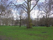 Saint James Park