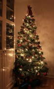 Unas Christmass Tree 2011